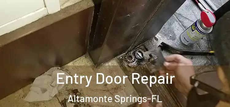 Entry Door Repair Altamonte Springs-FL